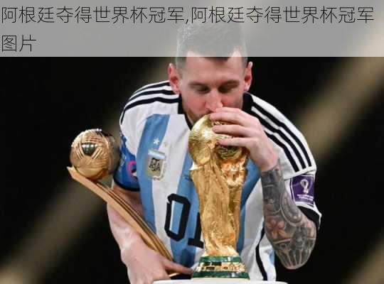 阿根廷夺得世界杯冠军,阿根廷夺得世界杯冠军图片