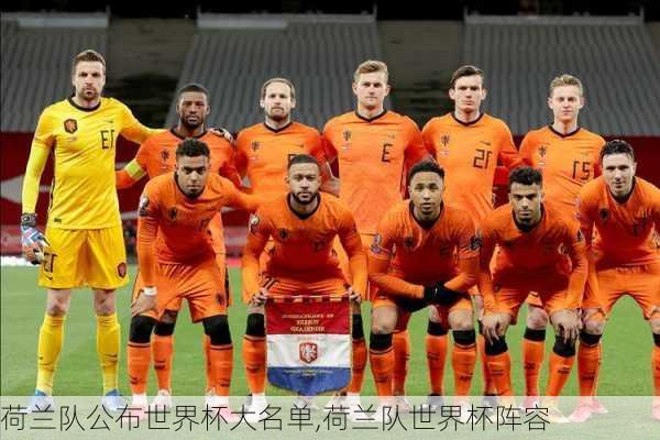 荷兰队公布世界杯大名单,荷兰队世界杯阵容