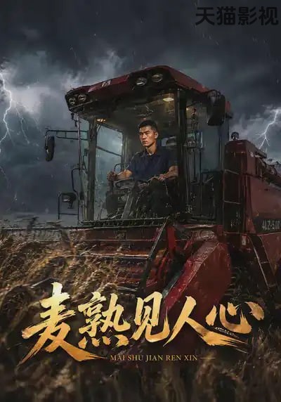 麦熟见人心