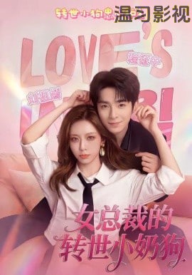 女总裁的转世小奶狗