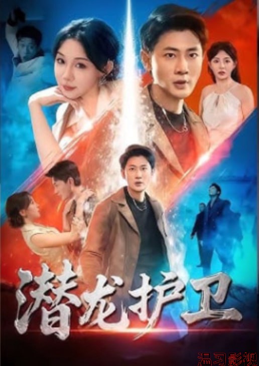 潜龙护卫