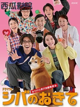 柴犬的规矩我们这群狗痴编辑部